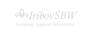 Iribov helpt SBW met doorstart-13