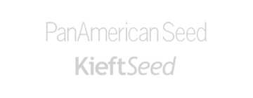 East-West Seed aan kop in Access to Seed Index-13