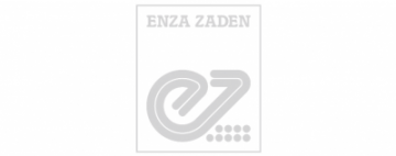 Stage Recruitment – Enza Zaden-31