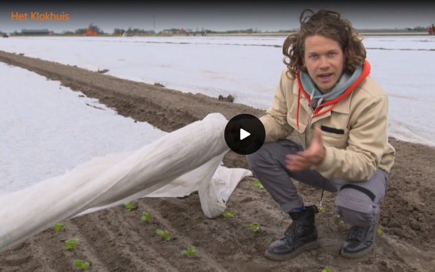 Video: Slateelt op water